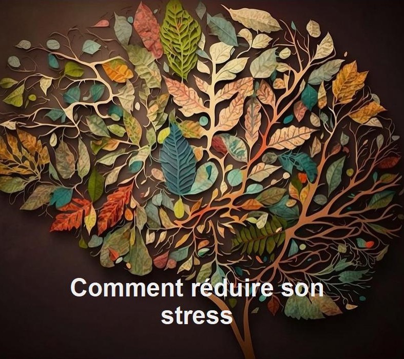 Image de feuilles formant un cerveau sur fond marron et texte qui dit comment réduire son stress